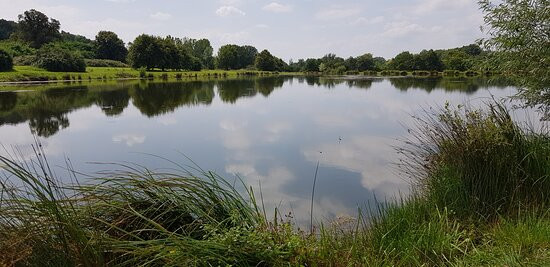 Domaine de La Poignardiere主图