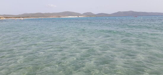 Bravo Porto Pino主图