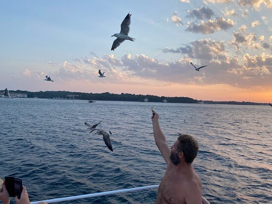 Kika Excursion Brijuni Pula-普拉必去景点