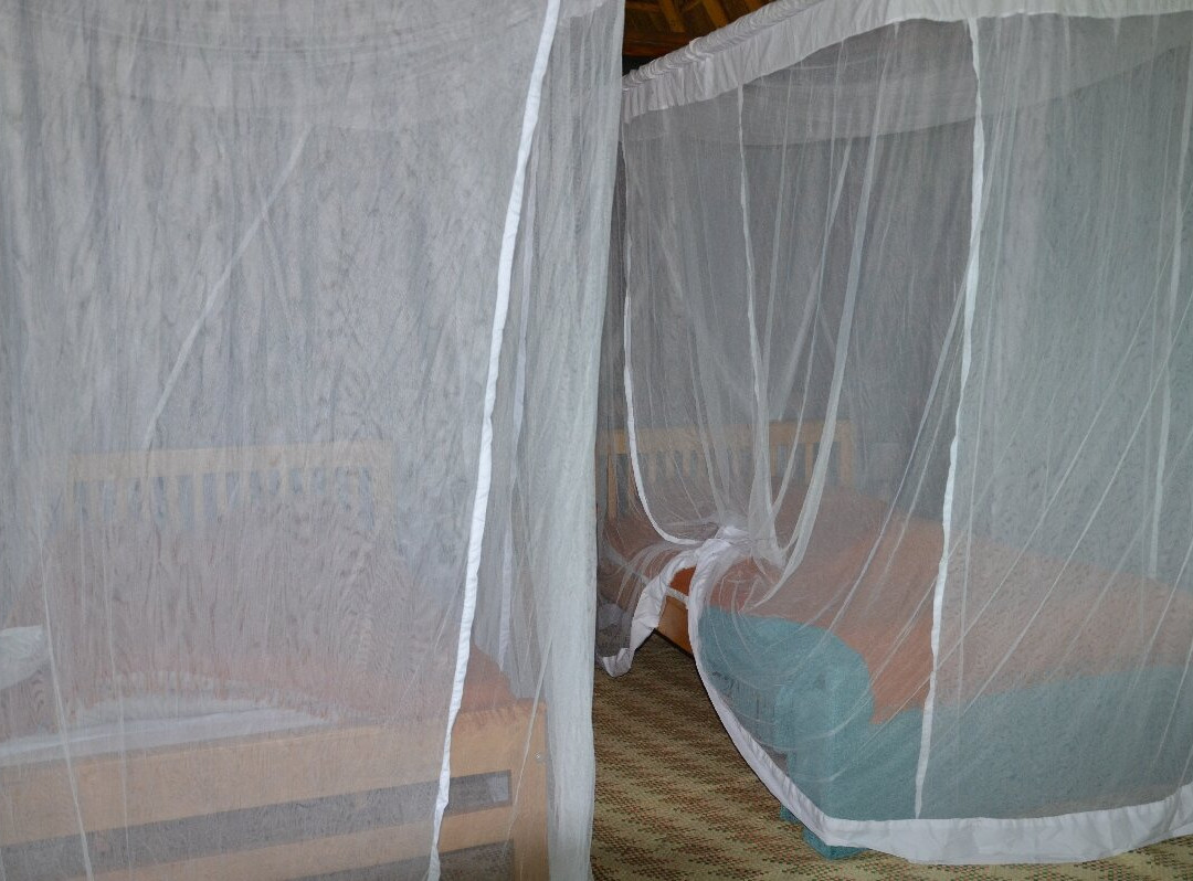 Kisubi Forest Cottages主图