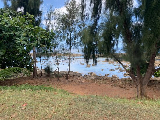 Shark's Cove-哈雷瓦必去景点