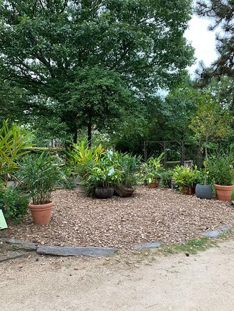 Jardin Botanique景点图片