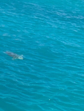 Adventure Sports Sailing-辛普森湾必去景点