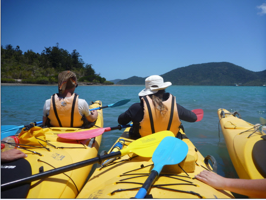 Salty Dog Sea Kayaking - Day Tours景点图片