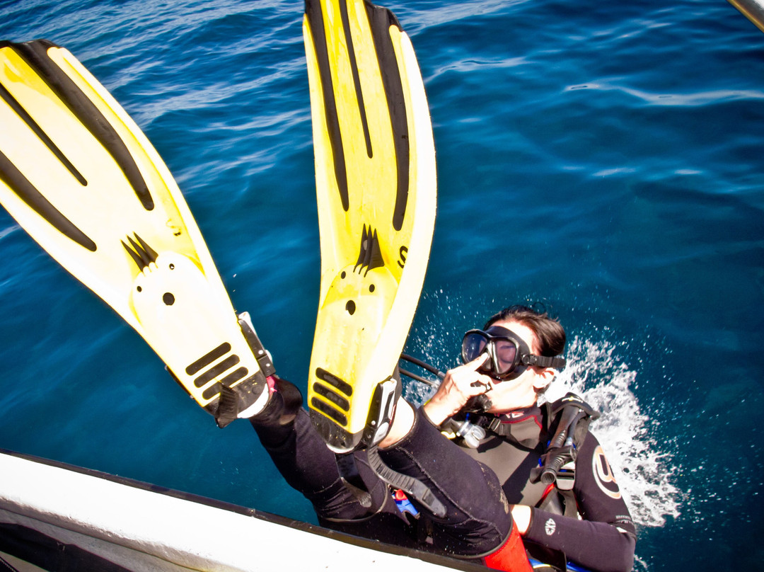 Coiba Dive Center景点图片