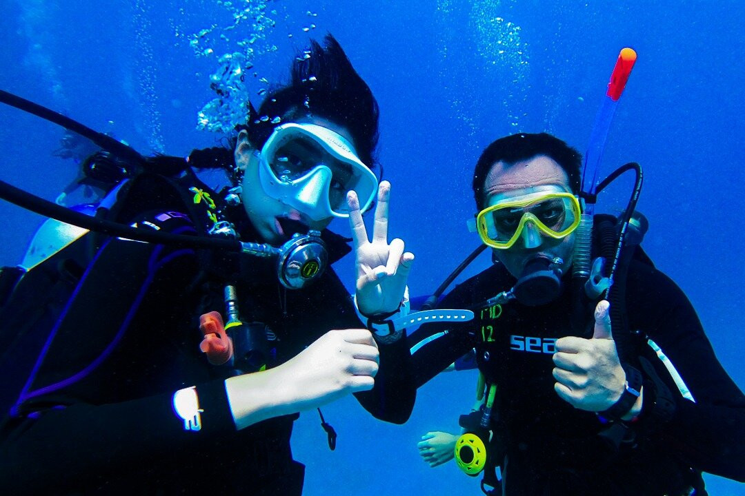 King Scuba Dive Center-从莫雷洛斯港必去景点