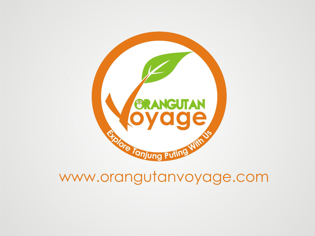 Orangutan Voyage-Kumai必去景点