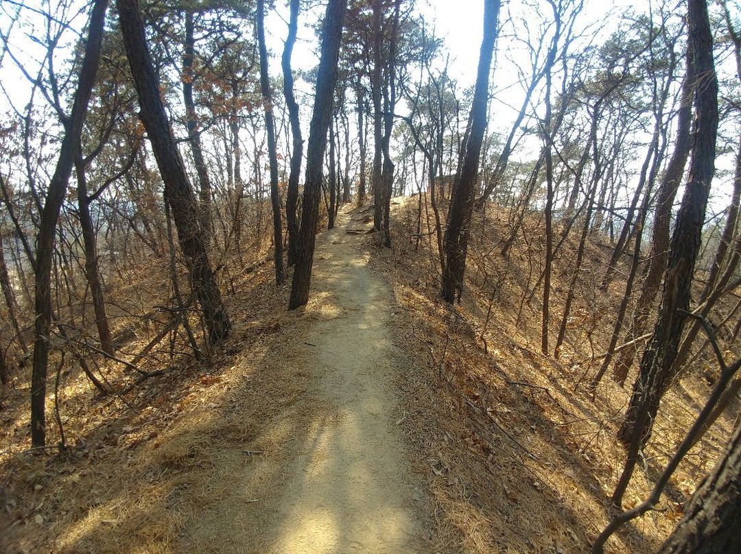 平泽市旅游攻略图片