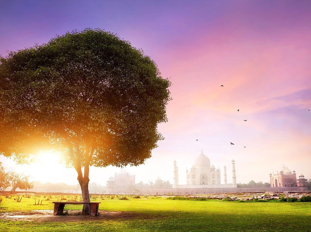 Rainbow Dream Travels-诺伊达必去景点