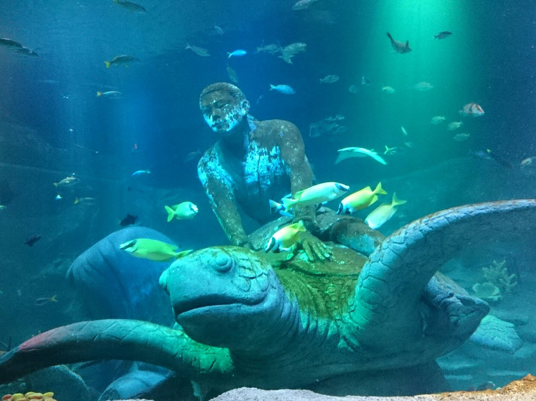 SEA LIFE Nagoya景点图片