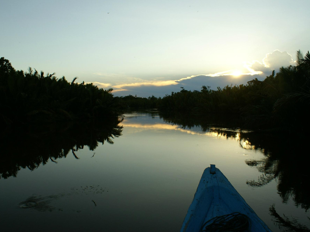 null-Pangkalan Bun