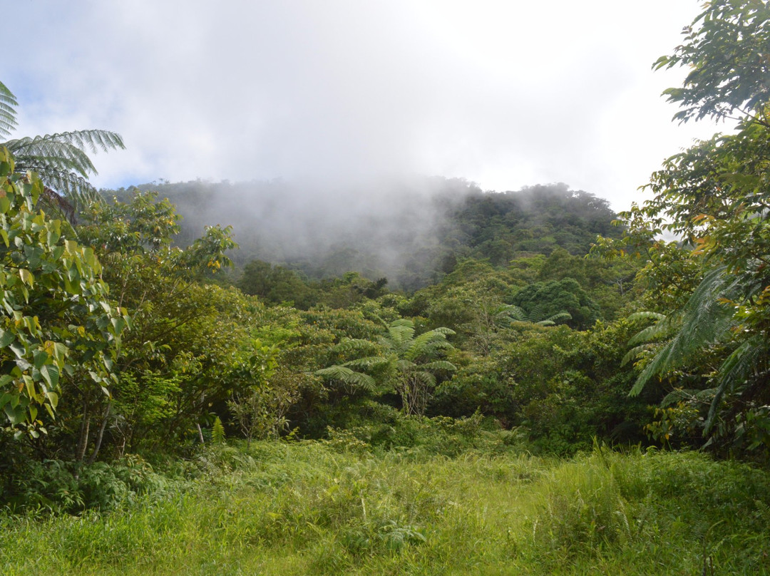 Tiwi旅游攻略图片