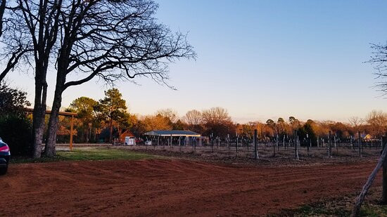 3 P's in a Vine Winery and Vineyard-Athens必去景点