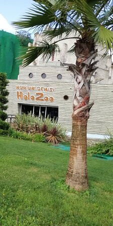 Tuzla Belediyesi Selale Egitim Parki景点图片