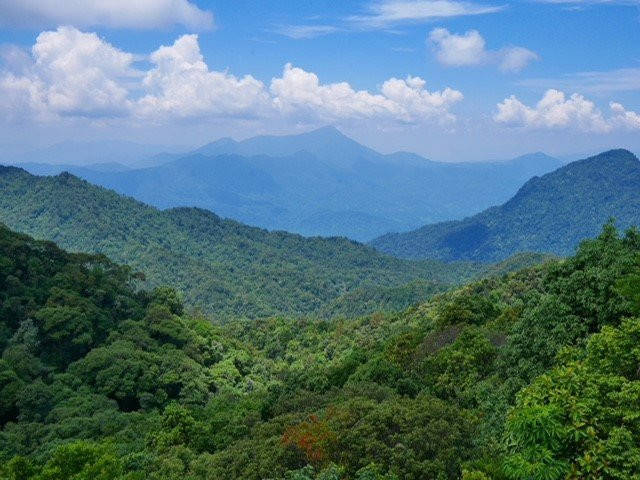Bach Ma National Park景点图片
