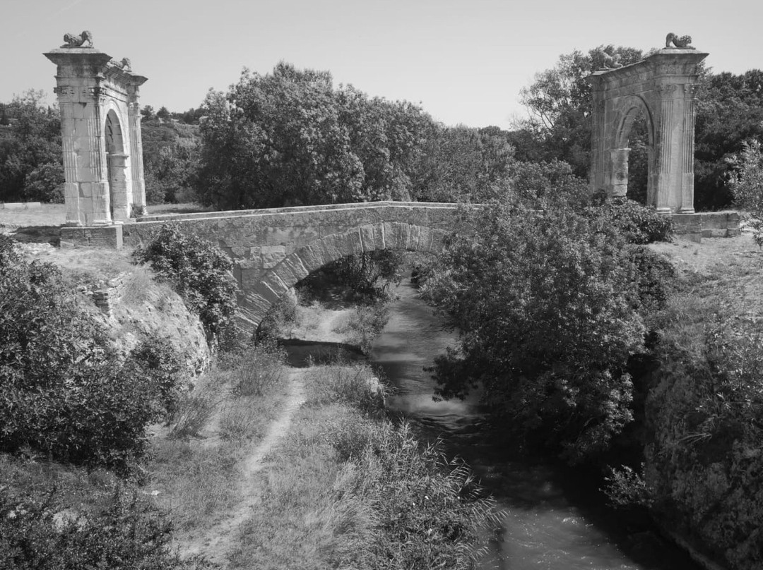 Pont Flavien景点图片