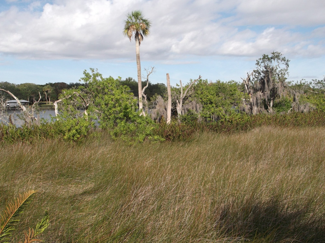 Alafia Scrub Nature Preserve景点图片