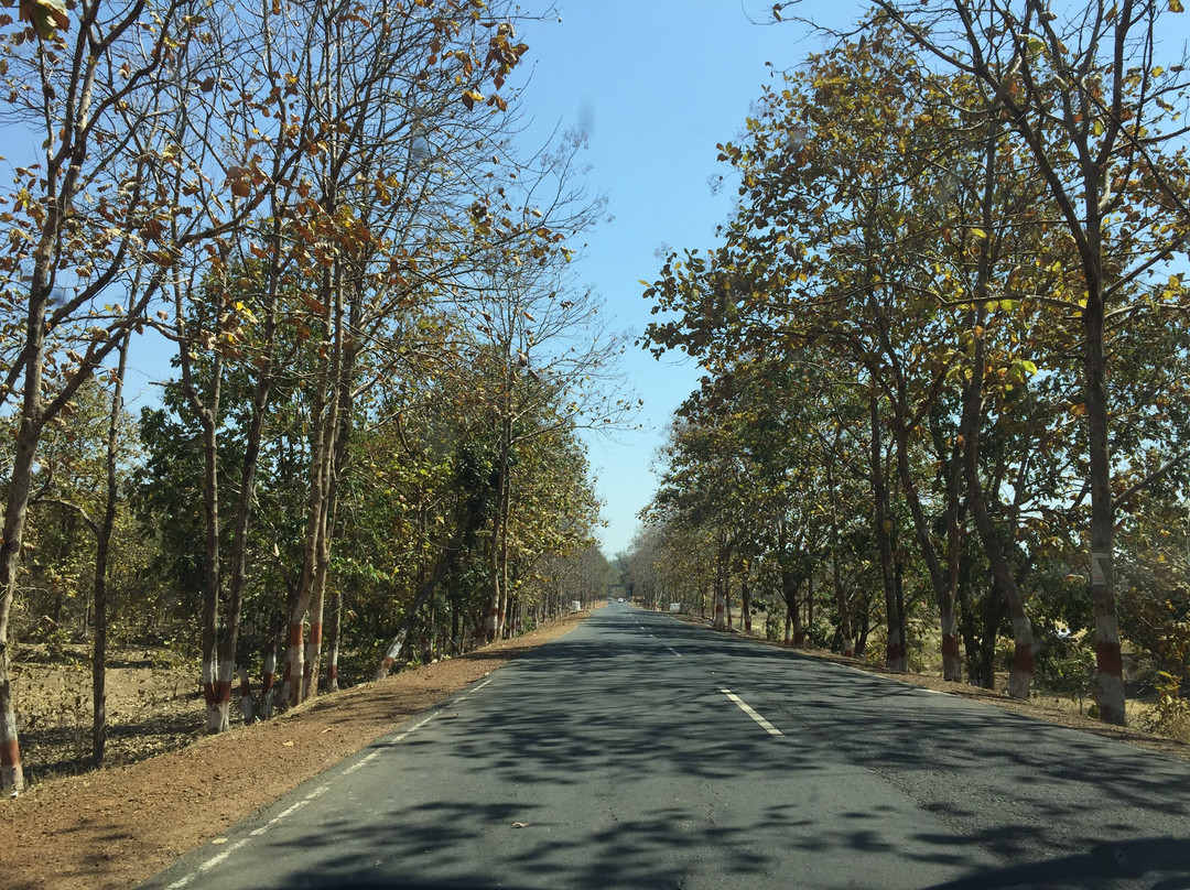 Hoshangabad District旅游攻略图片