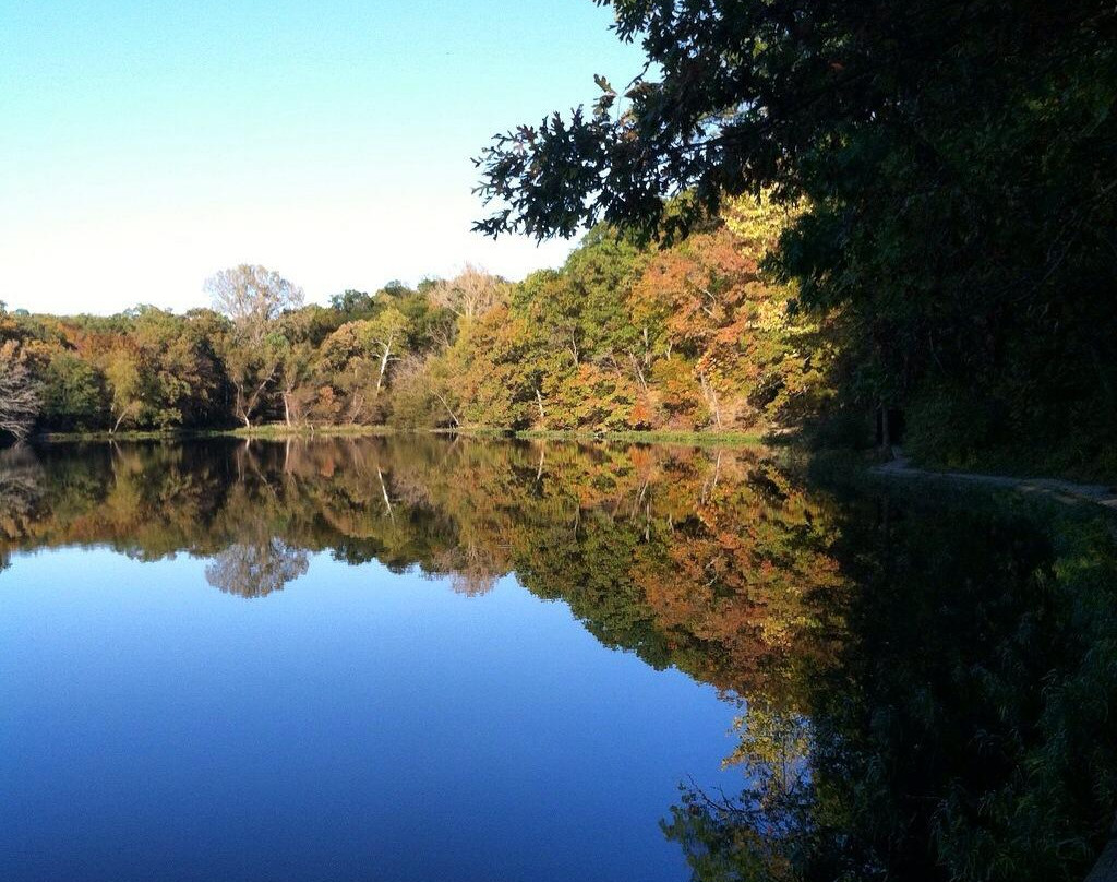 Cameron旅游攻略图片