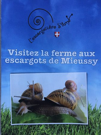 L'Escargotière d'Arno景点图片