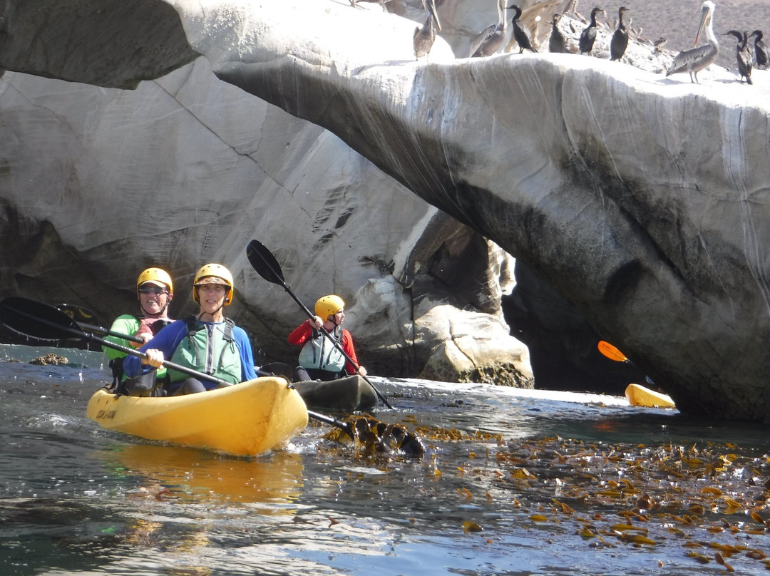 Central Coast Kayaks景点图片