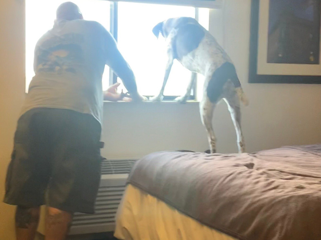 My Place Hotel-loveland, Co主图