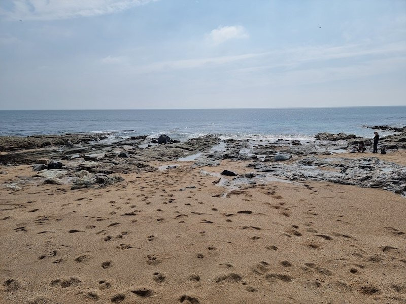 Porthleven Beach景点图片