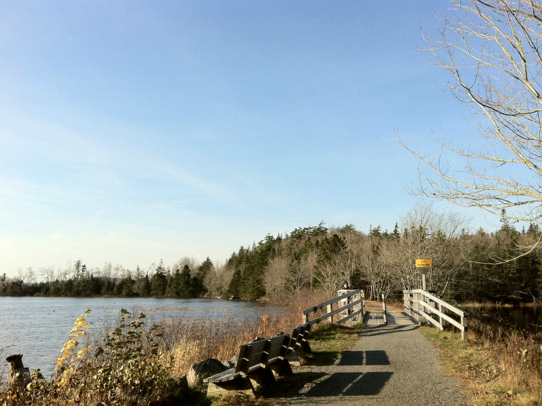 Bayer Lake Loop Trail景点图片