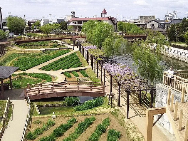 潮来市旅游景点-Suigo Itako Ayame Garden