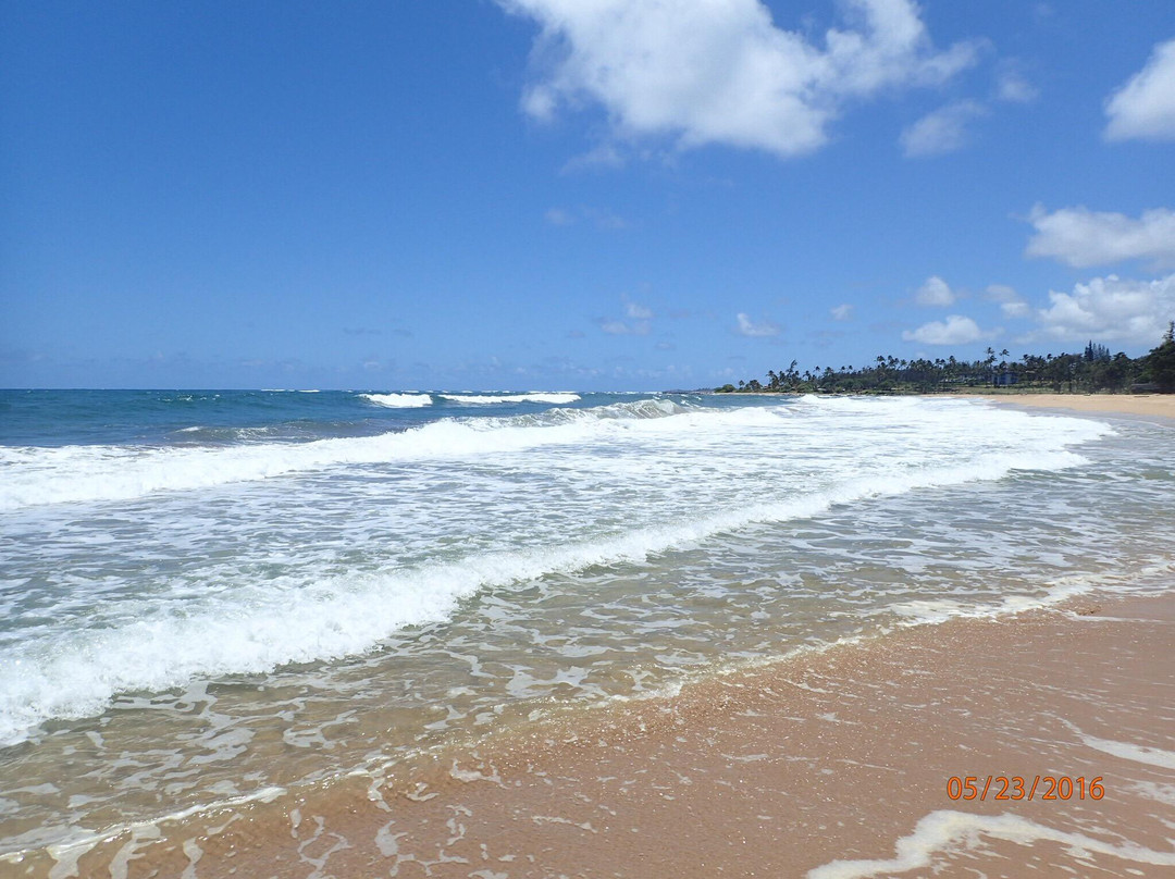Wailua Beach景点图片