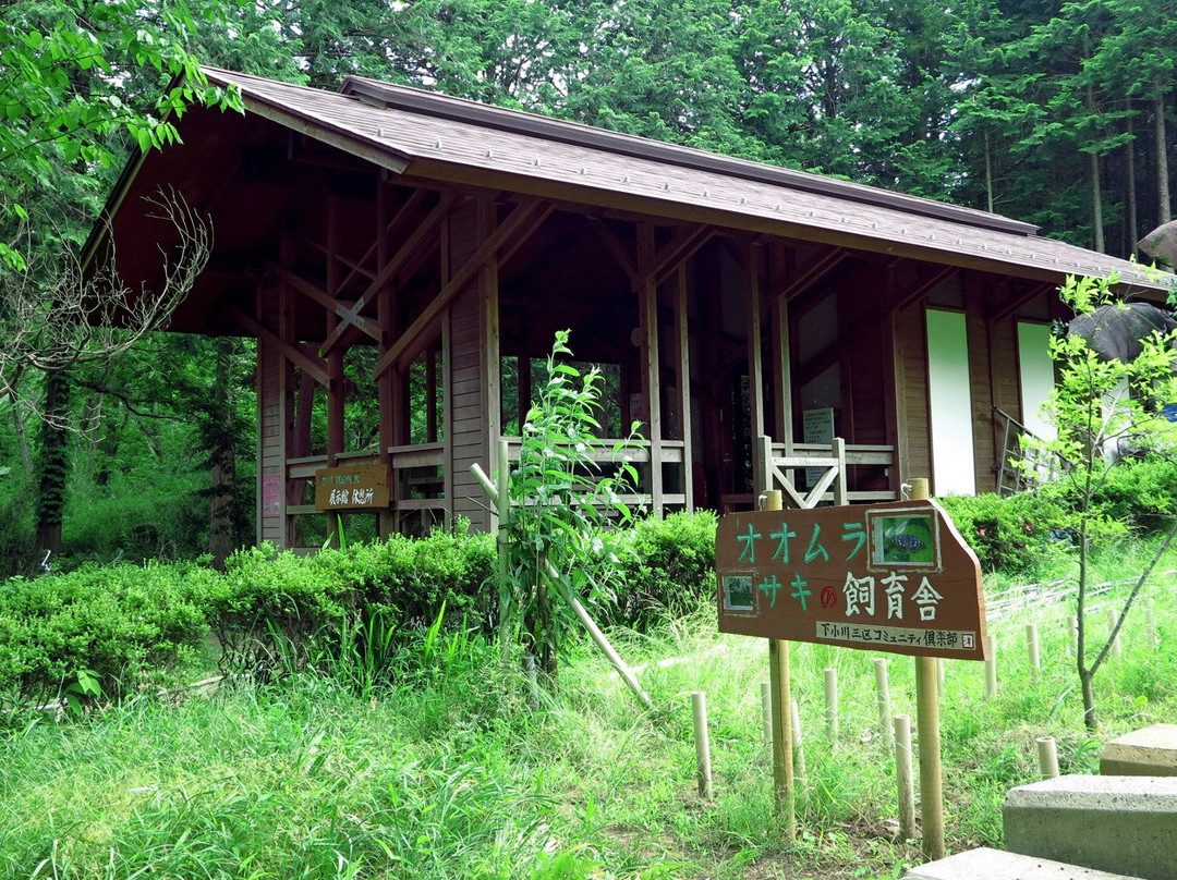 Katakuri to Omurasaki no Forest景点图片