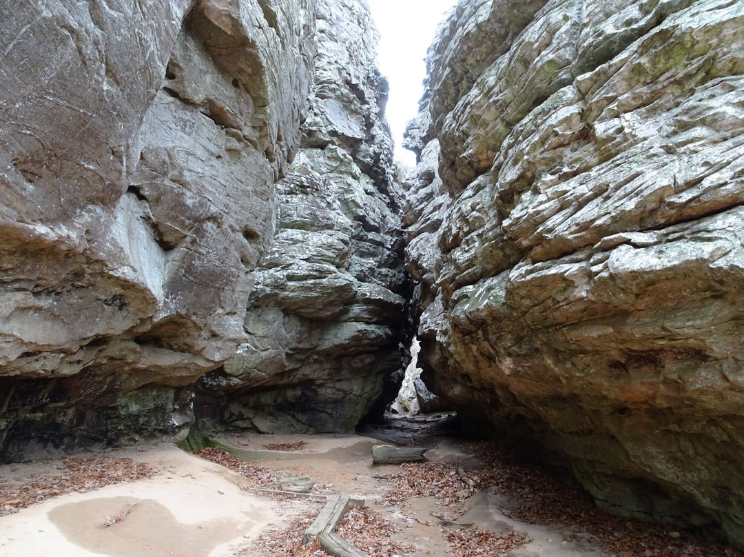 Bear Cave Trail景点图片