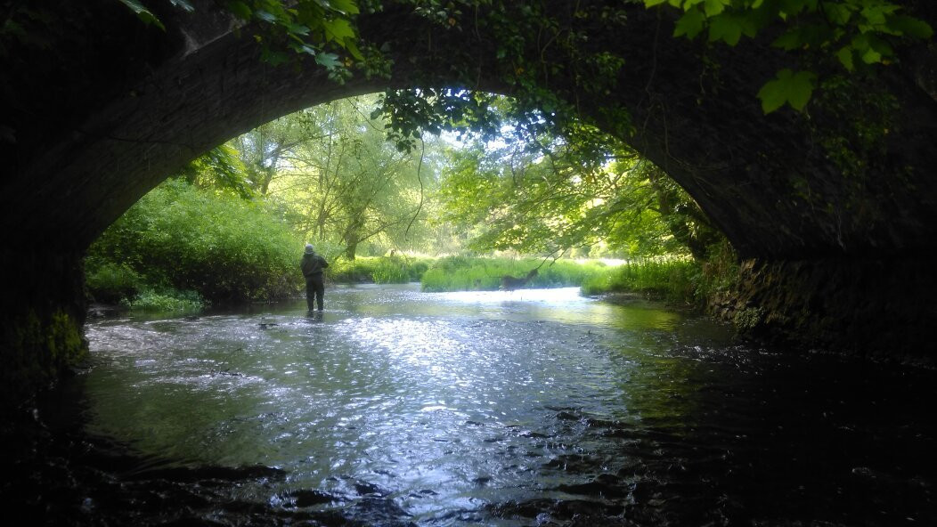 Love Fishing Ireland
