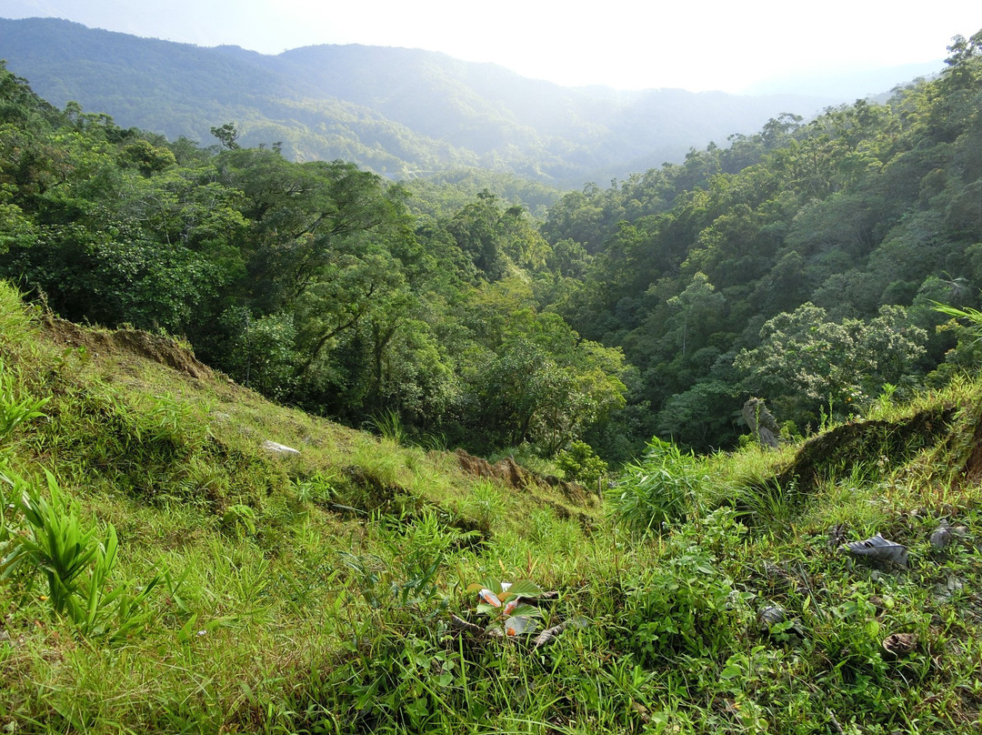 Bongabon旅游攻略图片