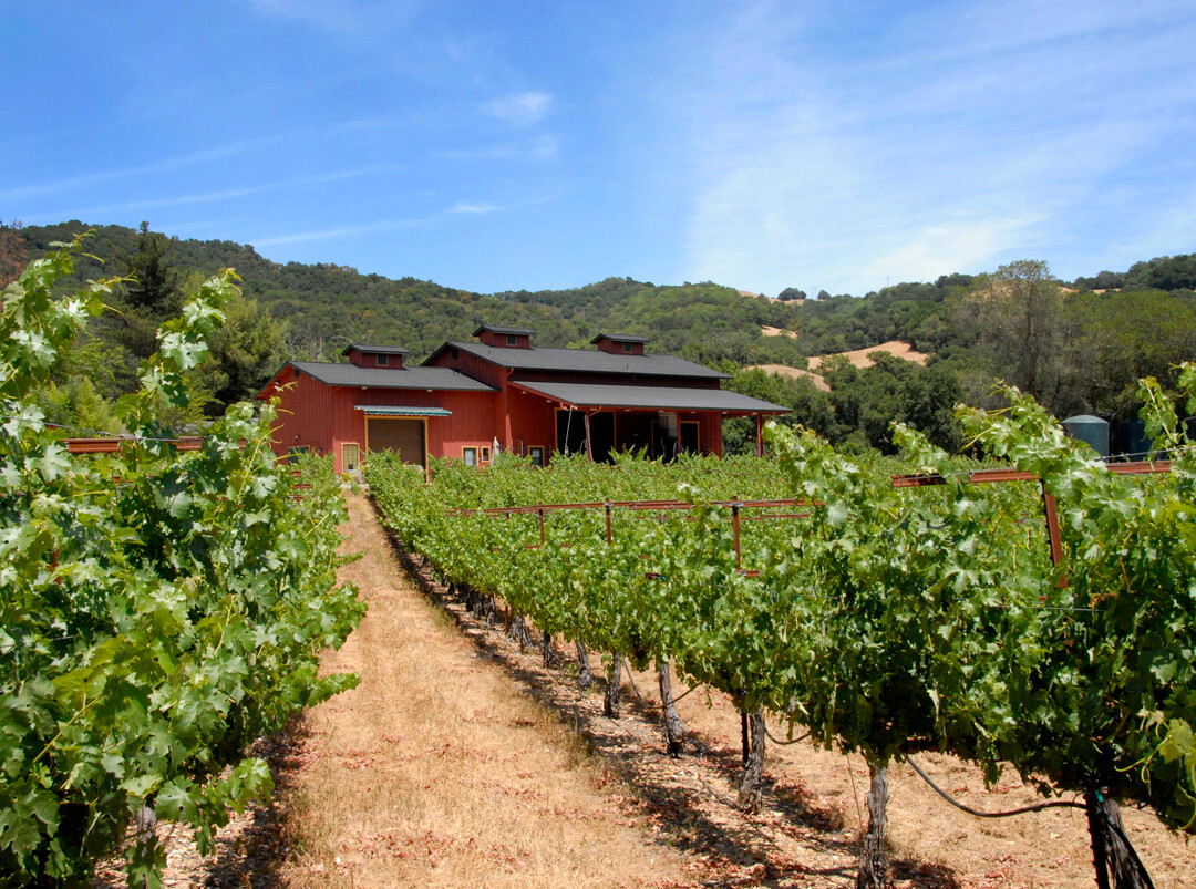 Martin Ranch Winery景点图片