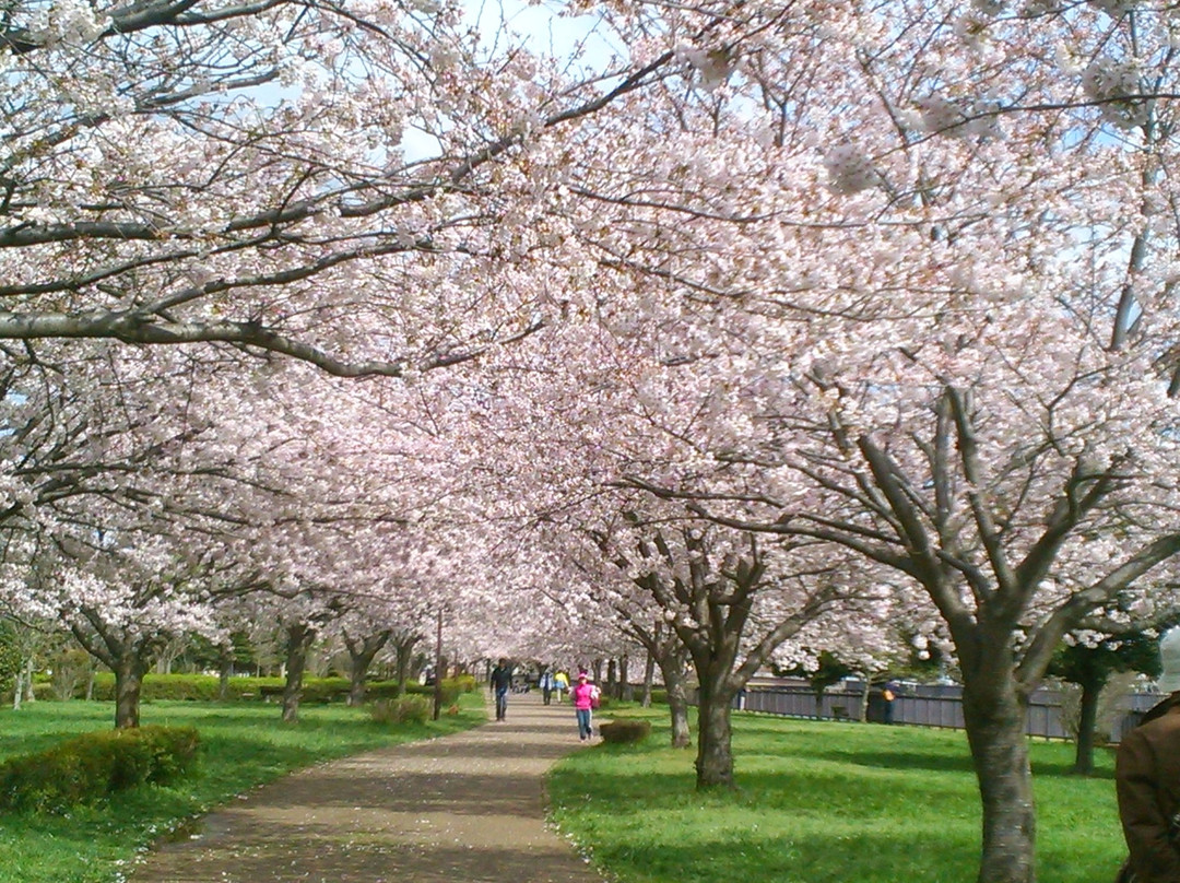 Hikichigawa Shinsui Park
