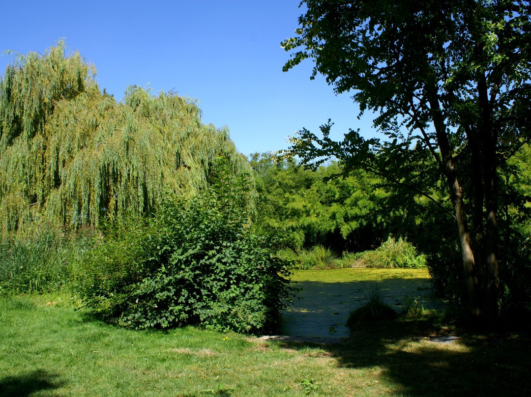Arboretum Du Bois De Vincennes景点图片