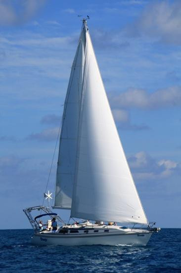 Breezin Sailing Charters景点图片