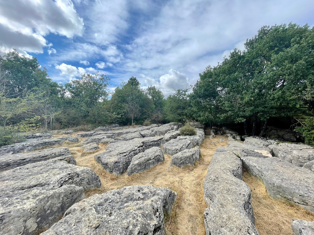 Labyrinthe Vert de Nebias