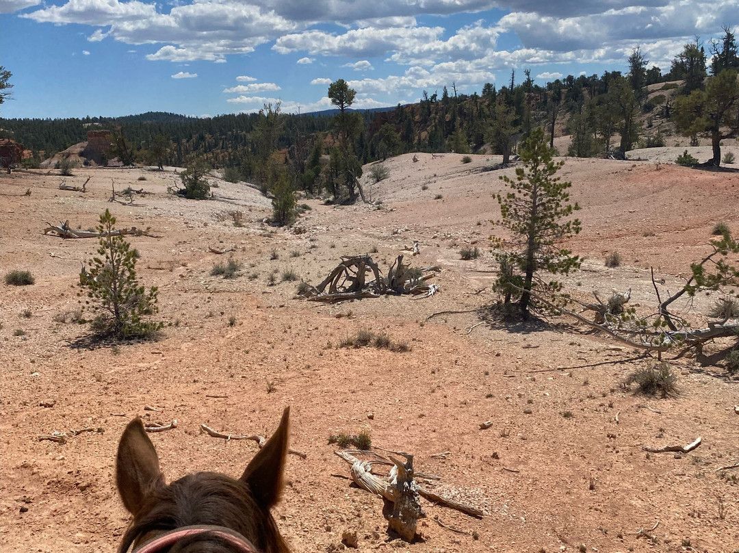 Ruby'grand Adventure Vacation-布莱斯峡谷城必去景点