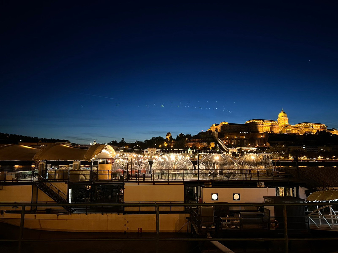 BOATanic Terrace And Bar