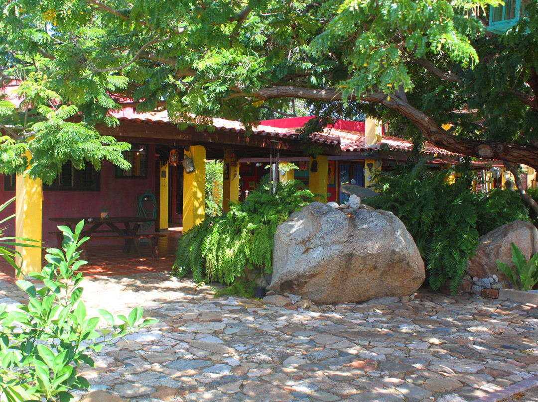 Aruba Etnia Nativa-Noord必去景点