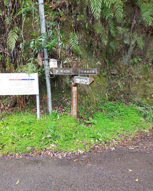 Kyoei / Mukoyama Tunnel-大多喜町必去景点