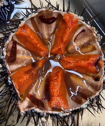 Meltemi Ristorante Pizzeria餐厅图片