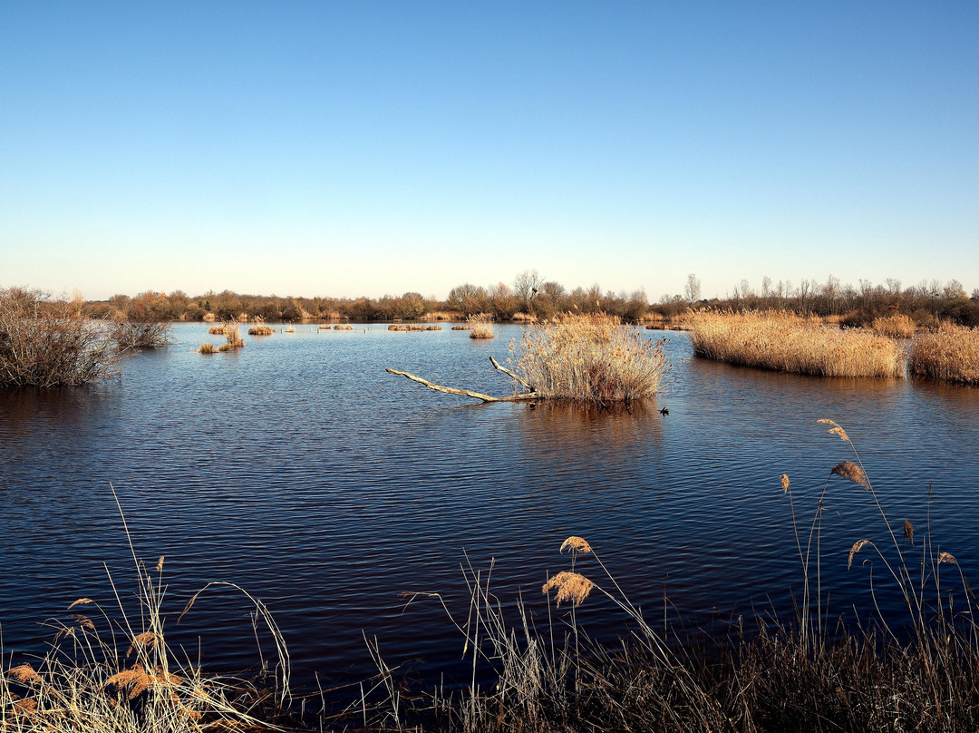 Etangs de la Brenne-Saint Michel en Brenne必去景点