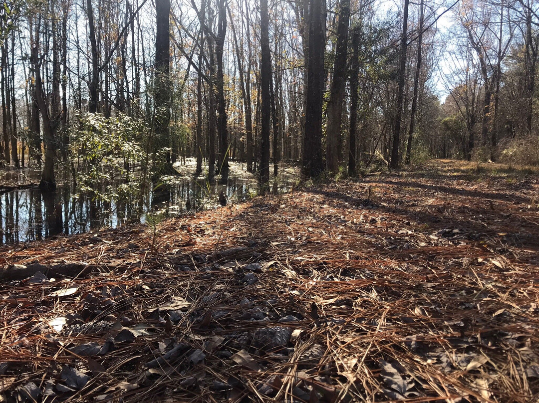 Santee National Wildlife Refuge景点图片