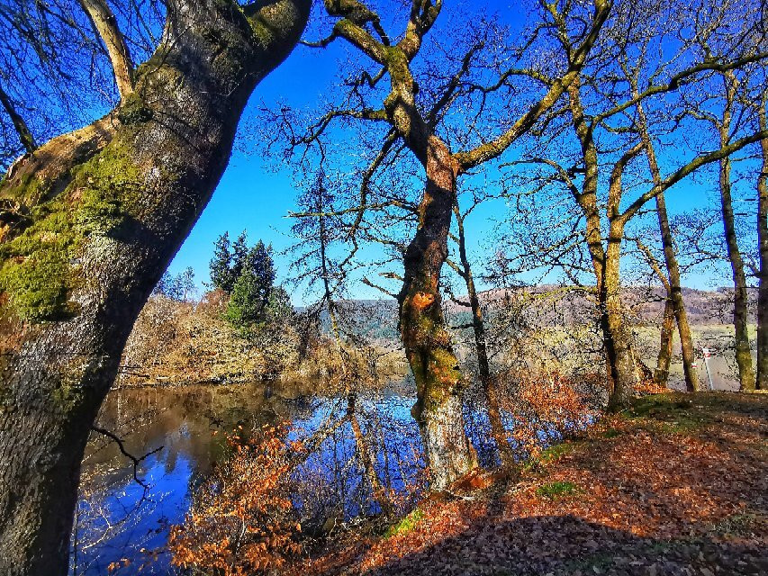 RSPB Lake Vyrnwy-奥斯沃斯特必去景点