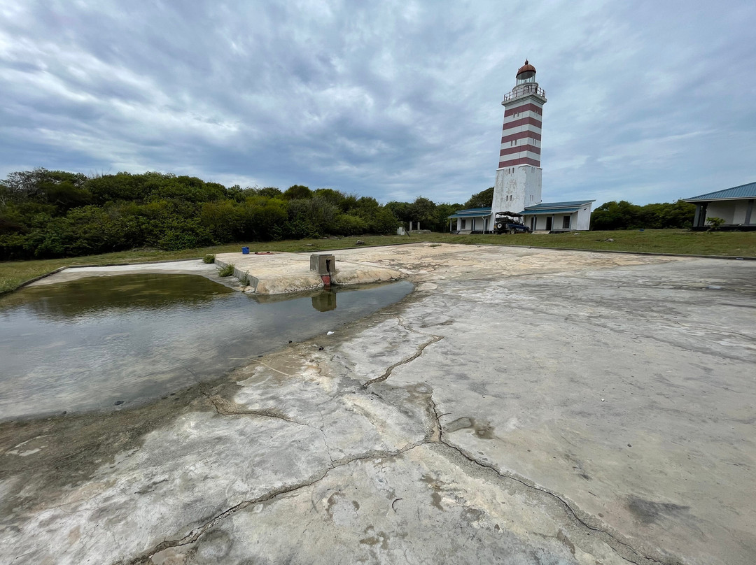 Ras Mkumbi-马菲亚岛必去景点