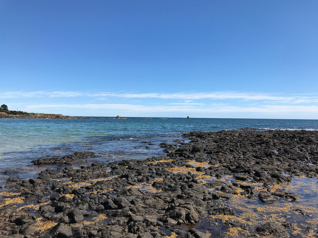 Johnsons Beach-企鹅岛必去景点