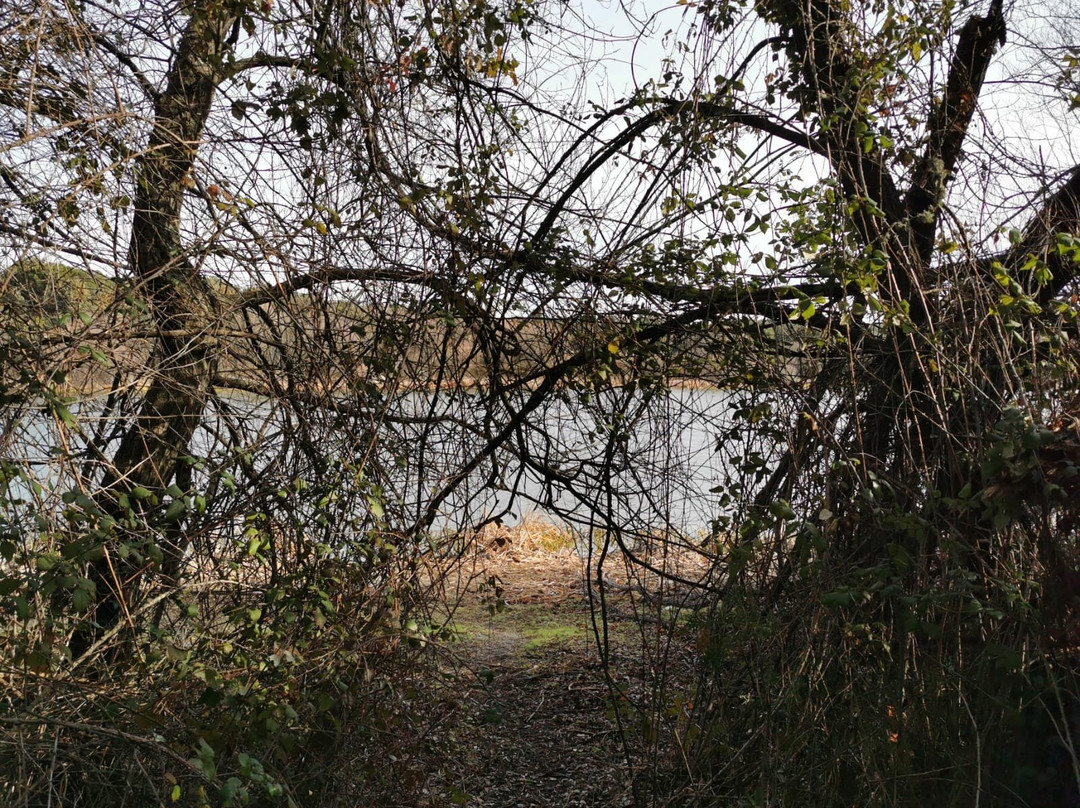 Embalse de los Arroyos景点图片